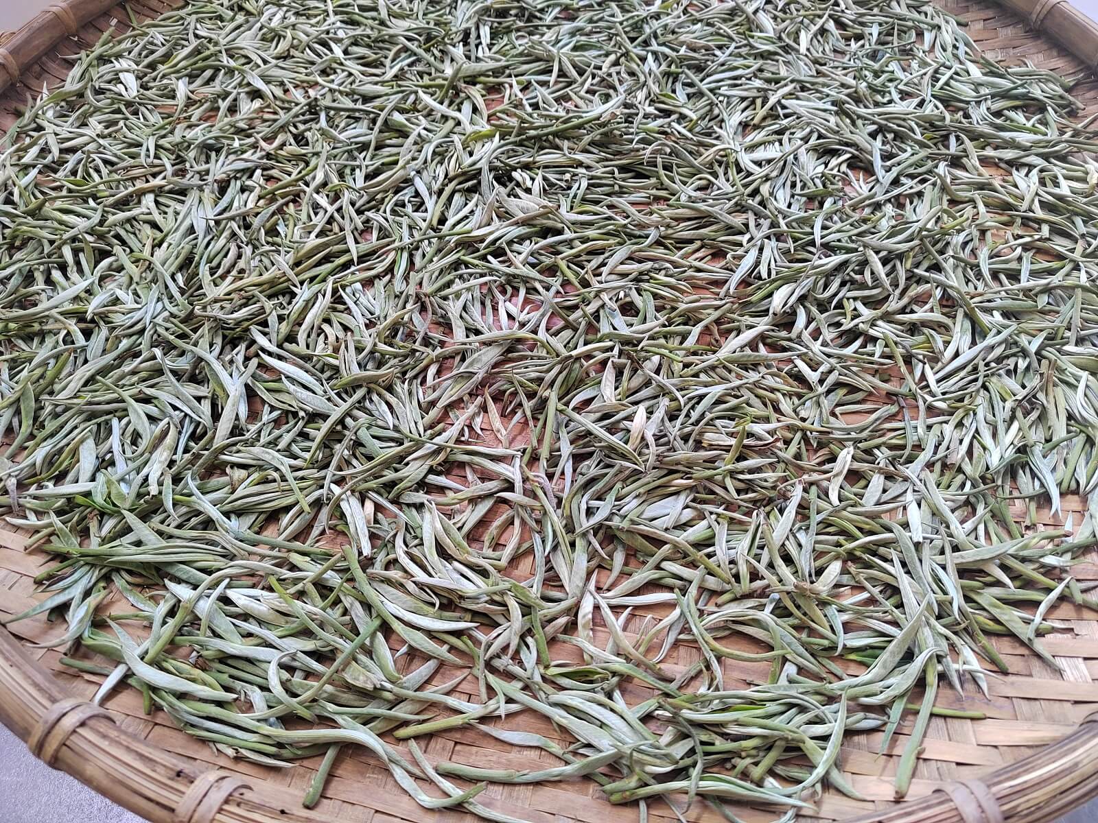 竹篾上晾青的茶叶